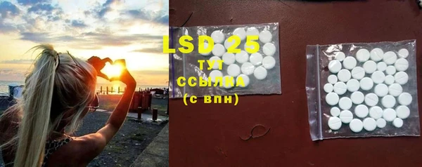 ПСИЛОЦИБИНОВЫЕ ГРИБЫ Белокуриха
