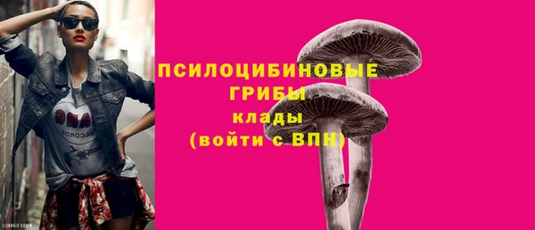 ПСИЛОЦИБИНОВЫЕ ГРИБЫ Белокуриха