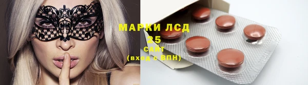 ПСИЛОЦИБИНОВЫЕ ГРИБЫ Белокуриха