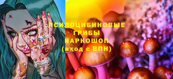 ПСИЛОЦИБИНОВЫЕ ГРИБЫ Белокуриха