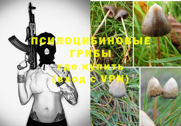 ПСИЛОЦИБИНОВЫЕ ГРИБЫ Белокуриха