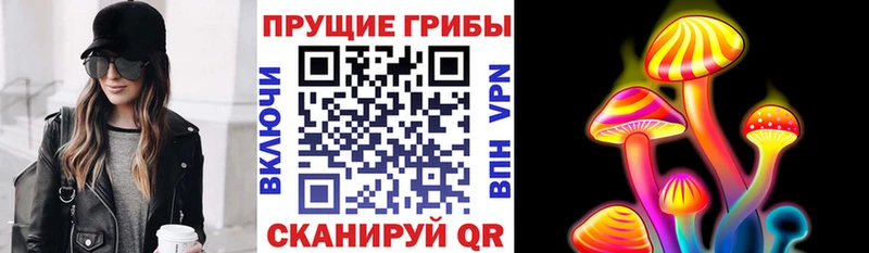 Купить закладки  Оха  Псилоцибиновые грибы прущие грибы 